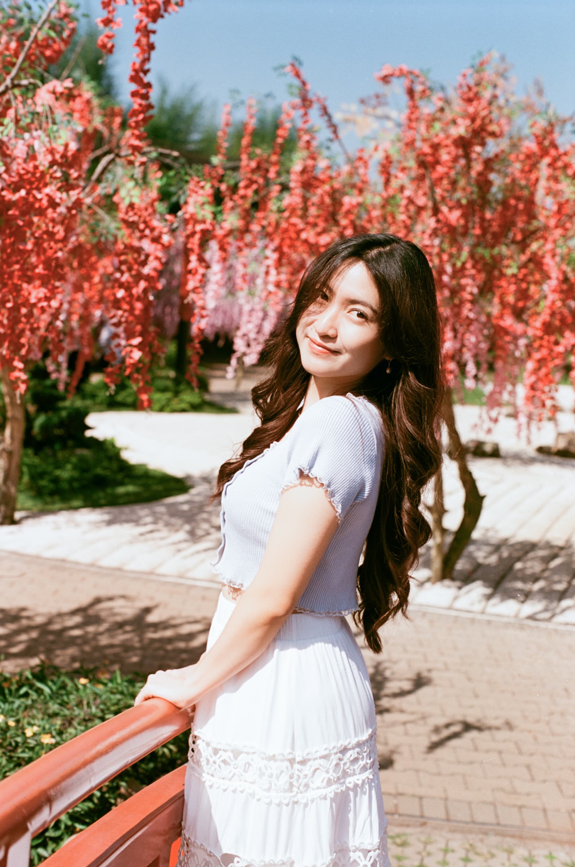 Bloom