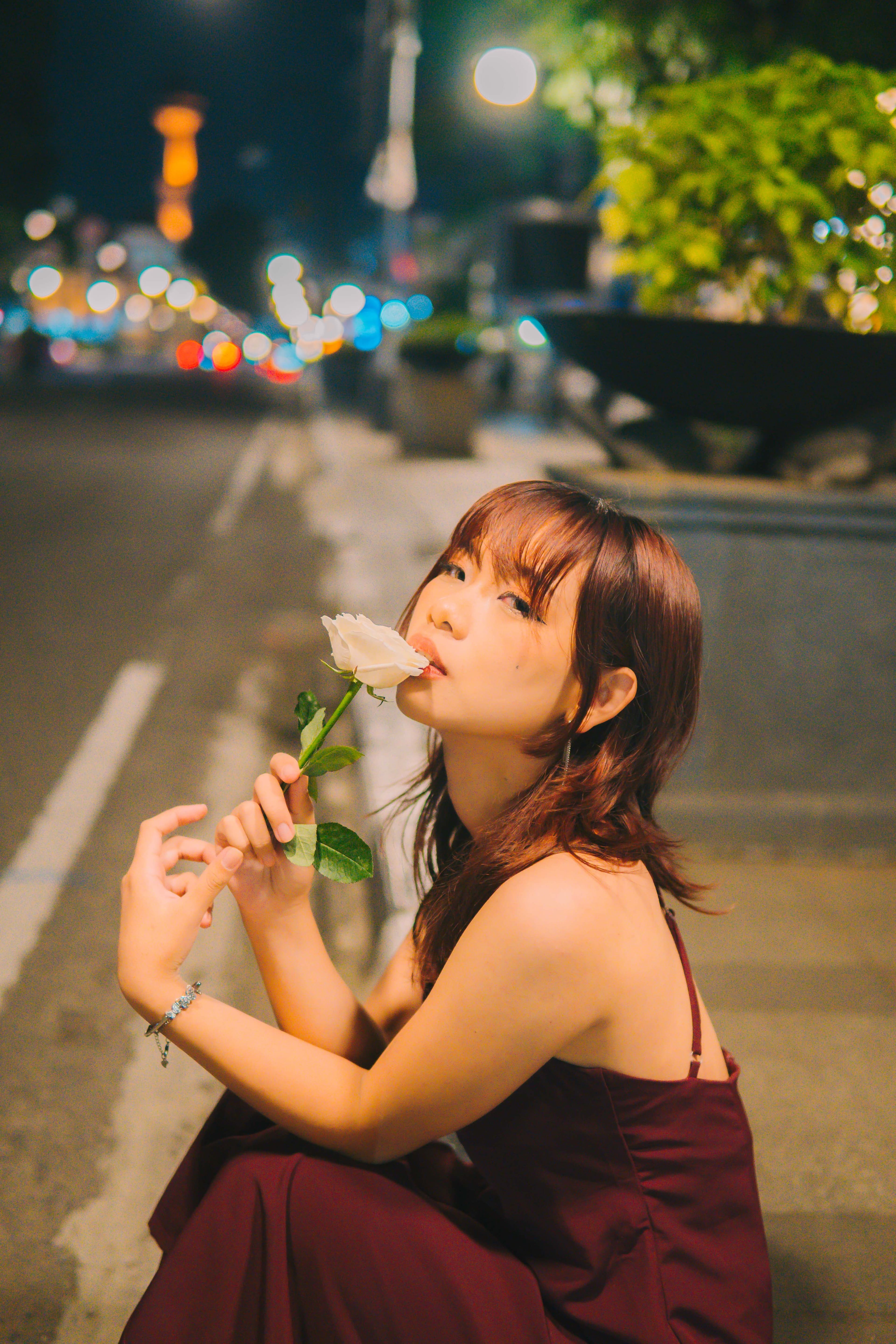 white rose, dark night.